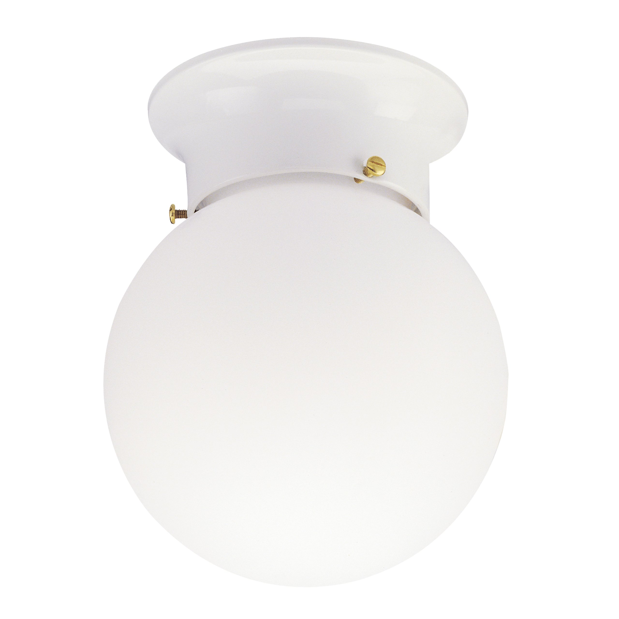 Globe Light